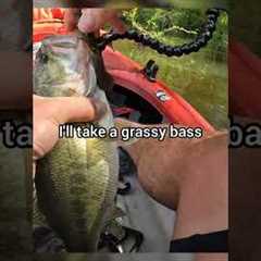 Grassy Bass Anyone? #kayak #bassfishing #shorts