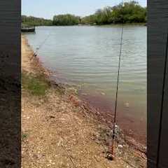 Fishing today 🎣🐟☀️❤️#fishing #lake