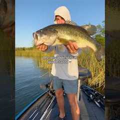I’m glad I started THIS!🗣️🔥 #fishing #shorts