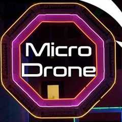 World's SMALLEST Drone Racing Spec League | UDL