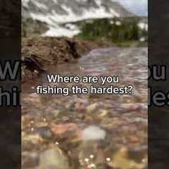 Where are you fishing the hardest? 💀 #fishing #shorts