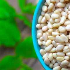 Top 7 Foods for Diabetics