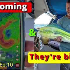 Island hopping, dodging storms and catching fish on a sinking boat.