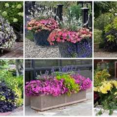 6 Container Combinations to Love! 😍💚🥰 // Garden Answer