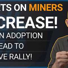 Bitcoin Adoption Will Lead To Massive Rally! Short Interest On Miners Decreases!