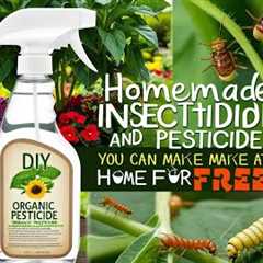 How to Create Organic Pesticide at home for FREE1