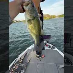 Basisi😂 • #bassfishing #fishing #villagepond #lakefishing #explore