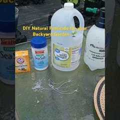 Garden DIY Natural pesticide #garden #mybackyardgarden #gardeningtips #gardendelight #diy #water
