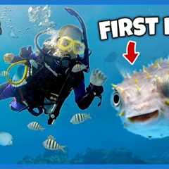 KIDS scuba dive with PUFFERFISH, LOBSTERS and EELS!