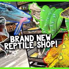 TOURING A BRAND NEW REPTILE SHOP IN SOUTH FLORIDA! (Cold Blooded Kingdom)