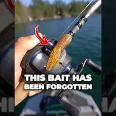This Forgotten Bait STILL Crushes Bass! #fishing