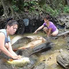 Top Fishing Video: Survival Skill, Unique Fishing, Survival Fishing, Build Fish Traps Catch Big Fish
