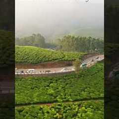 Munnar of God's Own Country | Aerial Drone Shot #photography #travel #Drone