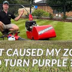 Why Is My Sir Grange Zoysia Turning PURPLE?! Pre-Winter Lawn Update!