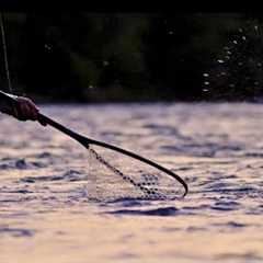 Arkansas River Fly Fishing Report May 2025| Buena Vista, Colorado