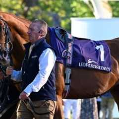 Injury scare for great stayer Kyprios? | Racing TV