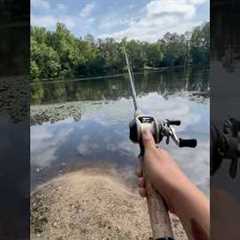Out here fishing, catching them bassisi #fishing #bassfishing