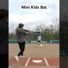 Can we hit a Home Run with a Mini Kids Bat?