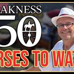 3 HORSES TO WATCH | 2025 Preakness Stakes Picks, Predictions and Odds