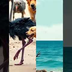 Unlikely Animal Friendships: Bonds Beyond Species!  #animalshorts #facts #wildliferescue #animals