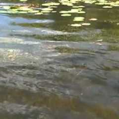 How To Fish Lake Nockamixon