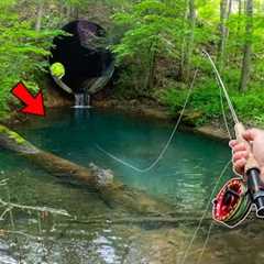 I Fished this SECRET Creek and was shocked by what I found!! (Fly Fishing for Trout)