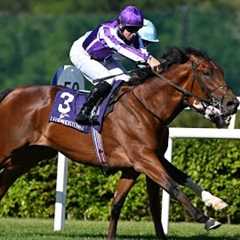 ITALY makes exciting debut for Aidan O'Brien at Leopardstown | Racing TV