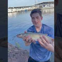#bassfishing #fishing #fish #catfishing #catfish #lakefishing #fun #virelshorts #viralshort
