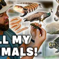Forrest Galante's Home Zoo Tour | Snakes, Turtles, Mini Horse & More!