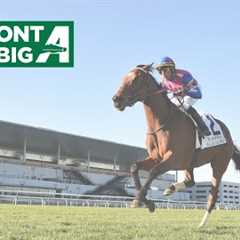 Talking Horses - May 18, 2025