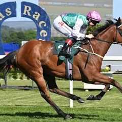 Royal Ascot next for BABOUCHE after Lacken Stakes success | Racing TV