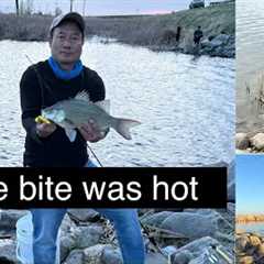 Mus nuv ntses North Dakota May 2025 || Devils Lake White Bass fishing ||
