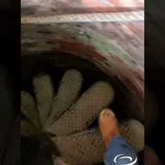 Underground bunker in my back garden using old army well
