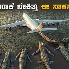 The Bayou Movie Explained In Kannada • Jungle Adventure • Plot Review