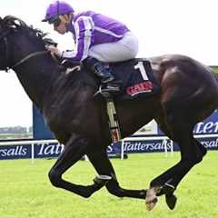 Wow! Top prospect ALBERT EINSTEIN remains unbeaten | Racing TV
