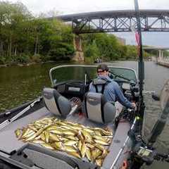 Lake Erie Yellow Perch Fishing – Best Day of the Season?