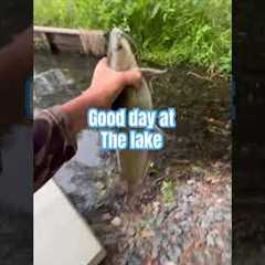 Good day at the lake #fishing #shorts ￼