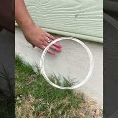 Have you seen cracks in your foundation?