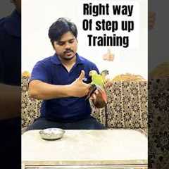 Right way to step up, Fix your step up mistake. Train your parrot right way!