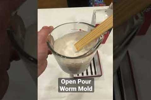 How To Make Open Pour Worm Soft Plastic Molds Out Of Plaster! #shorts