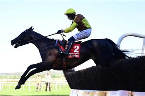 By 22 lengths! GALOPIN DES CHAMPS pummels his rivals in 2025 Ladbrokes Punchestown Gold Cup