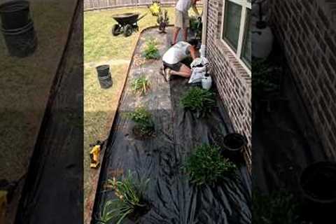 How We Create A Flower Bed - Start to Finnish! #Landscaping #lawncare