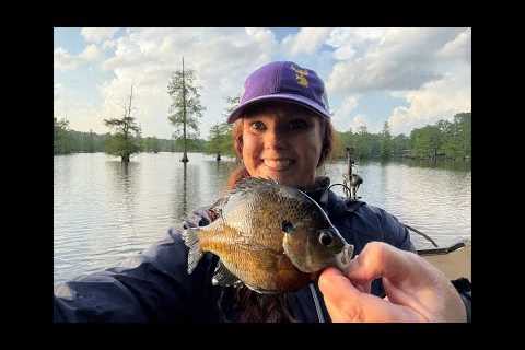 God's Country Hunting &amp; Fishing bream on LOUISIANA Lake.