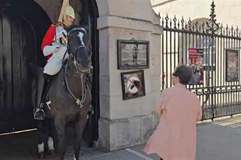 CHINESE TOURIST RUNS AT THE HORSE GET OUT #kingsguard