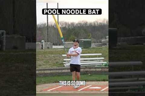 We tried hitting a Home Run with a Pool Noodle Bat…