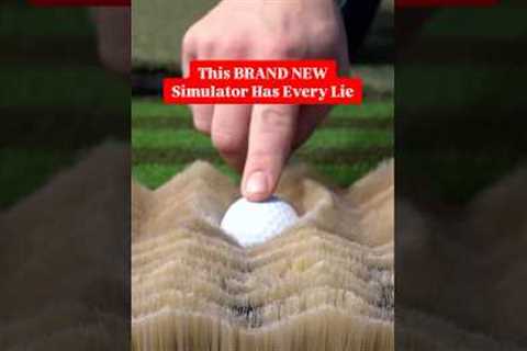 The Last One is TOUGH 😳 #golf