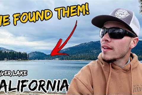 This California Lake has Landlocked Salmon! Catch and Cook!