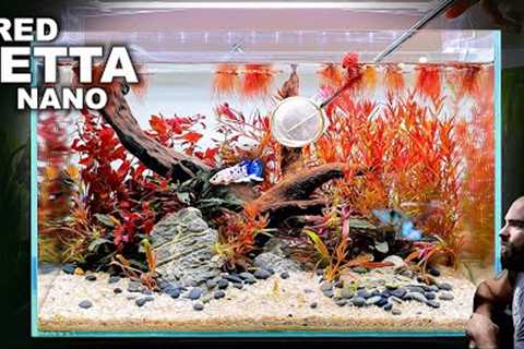 FULL AQUARIUM BUILD - Red Betta Fish Nano Aquascape Tutorial!