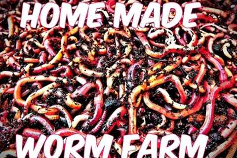 Home Made (DIY) Worm Farm: For Fishing