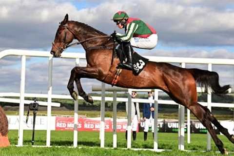 FINAL DEMAND oozes class at Punchestown